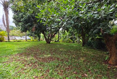 Commercial Property with Backup Generator at Off James Gichuru. - 3