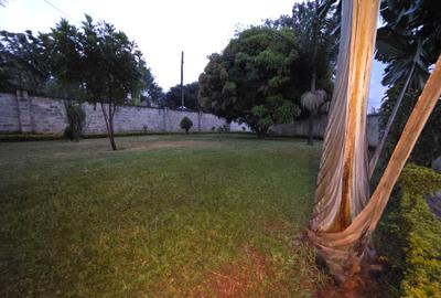 1 Bed House with Garden in Muthaiga - 4