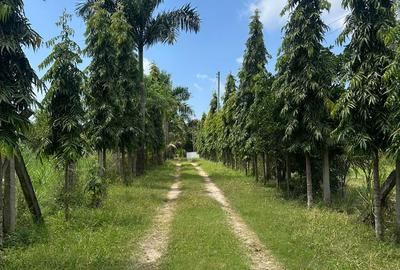 3 Bed House with En Suite at Mtwapa - 4