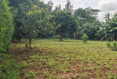 0.5 ac Land in Runda