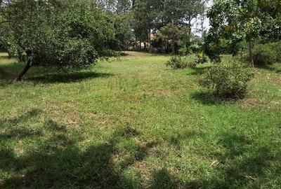 4,047 m² Residential Land in Karen