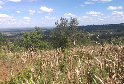 Land at NgáRachi - 4