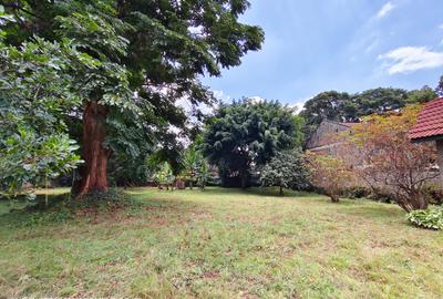 Commercial Land at James Gichuru