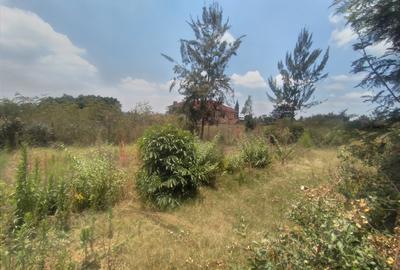 Residential Land at Matasia - 3
