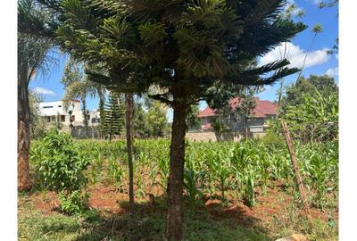 Residential Land in Kiambu Road