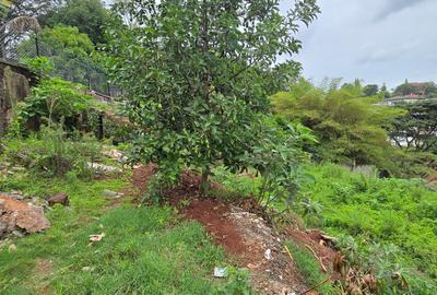 Residential Land in Kitisuru - 2