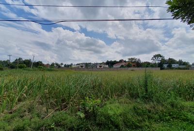 0.5 ac Residential Land at Mumwe Drive - 4