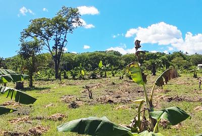 Land at Msambweni - 3