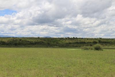 0.125 ac Residential Land at Korompoi Area