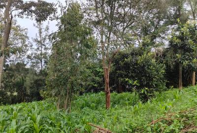 1 ac Land at Ngong