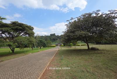 1 ac Land in Karen - 4