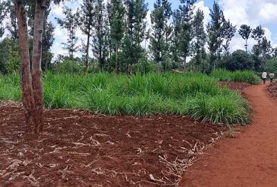 3 ac Land at Kenol - Thika Road