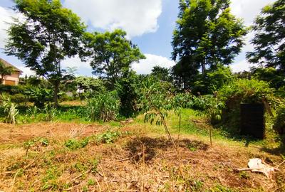 Land in Kiambu Road - 2