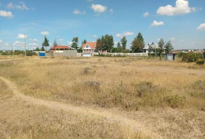 Commercial Land at Chuna - 2