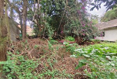 0.42 ac Land at Vihiga Road