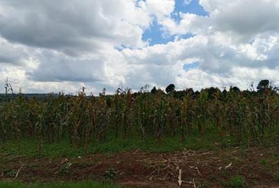 0.5 ac Land in Tigoni - 3