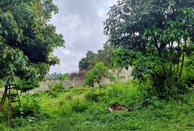 0.5 ac Residential Land at Runda - 4