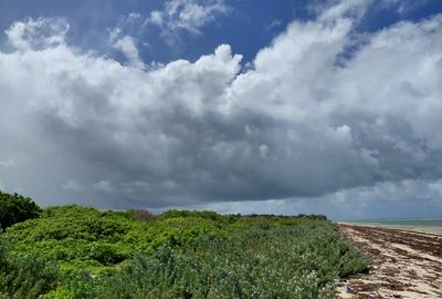 12 ac Land in Watamu