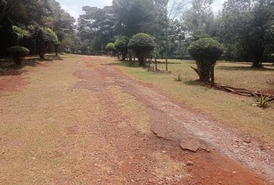 3 ac Land in Karen