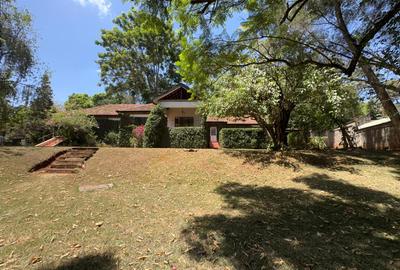 Commercial Property with Parking in Lavington