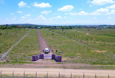 Residential Land in Naivasha - 3