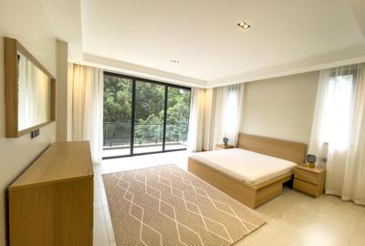 4 Bed Apartment with En Suite in Spring Valley - 4