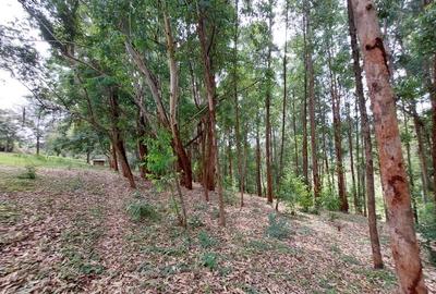 Land in Rosslyn