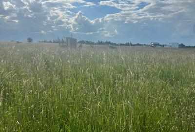 Land at Sunshine - 3