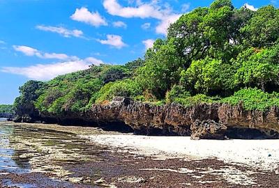 167.5 ac Land at Kuruwitu Beach - 4