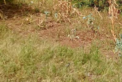 Residential Land at General Mathenge - 2