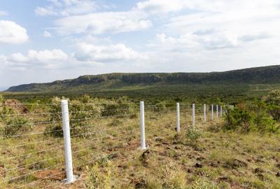 Residential Land at Kikuyu Nachu-Mikuyuini - 2
