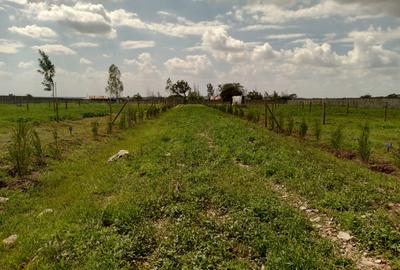 Residential Land at Enkasiti