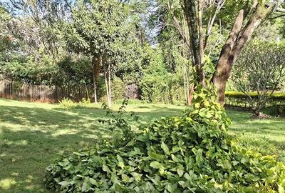 4 Bed House in Kyuna - 2