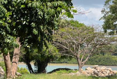 7 ac Commercial Land at Shanzu Beach - Overlooking Mtwapa Creek - 4