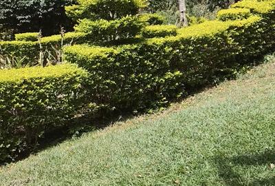 0.75 ac Land in Lavington - 4