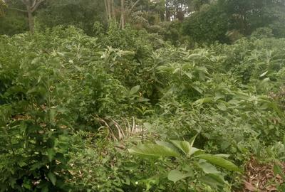 Residential Land in Lower Kabete