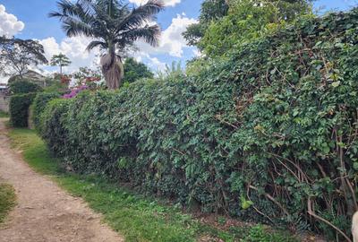 0.444 ac Residential Land at Green Castle