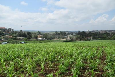 Land at Ngong Town