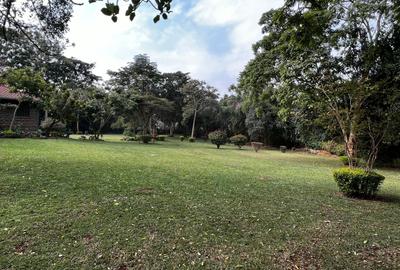 Commercial Property with Backup Generator at Westlands - 4