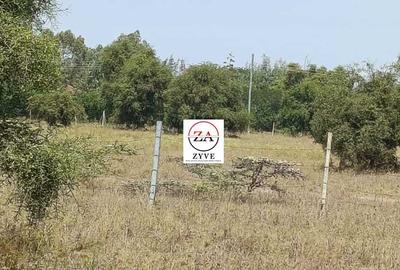 0.25 ac Land at Enkasiti - 3
