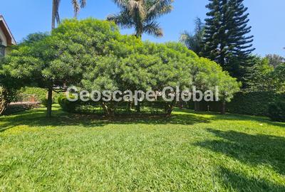 5 Bed House with En Suite in Runda