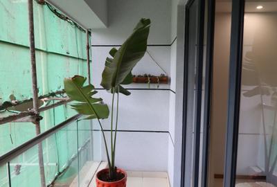 1 Bed Apartment with En Suite in Riverside - 4