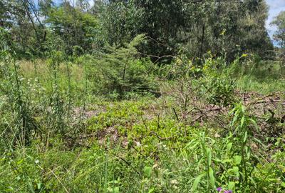 Residential Land in Karen