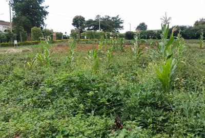 Residential Land in Runda