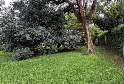 0.75 ac Land at Kaputei Gardens
