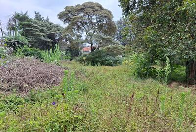0.5 ac Land at Hillcrest Road - 3