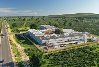 Commercial Land at Vipingo - 4