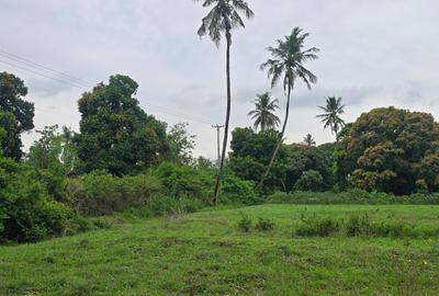 2 ac Land at Animo