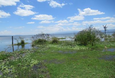 25 ac Land at Moi S Lake Rd