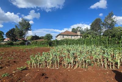 1.2 ac Land in Runda - 4